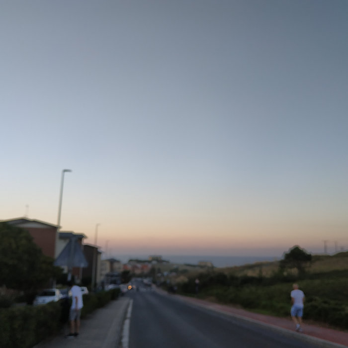 feedback loop (2020)